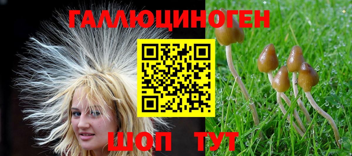 Псилоцибиновые грибы Cubensis  Вход с VPN  Галлюциногенные грибы Cubensis  Миллерово 